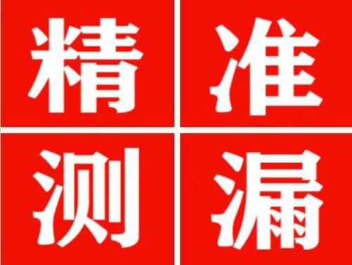 玉龙尚嘉漏水精准查找